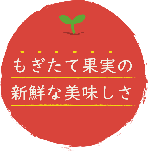 もぎたて果実の規格外の美味しいをご堪能ください！